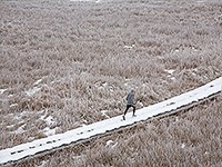 above view of man running in winter